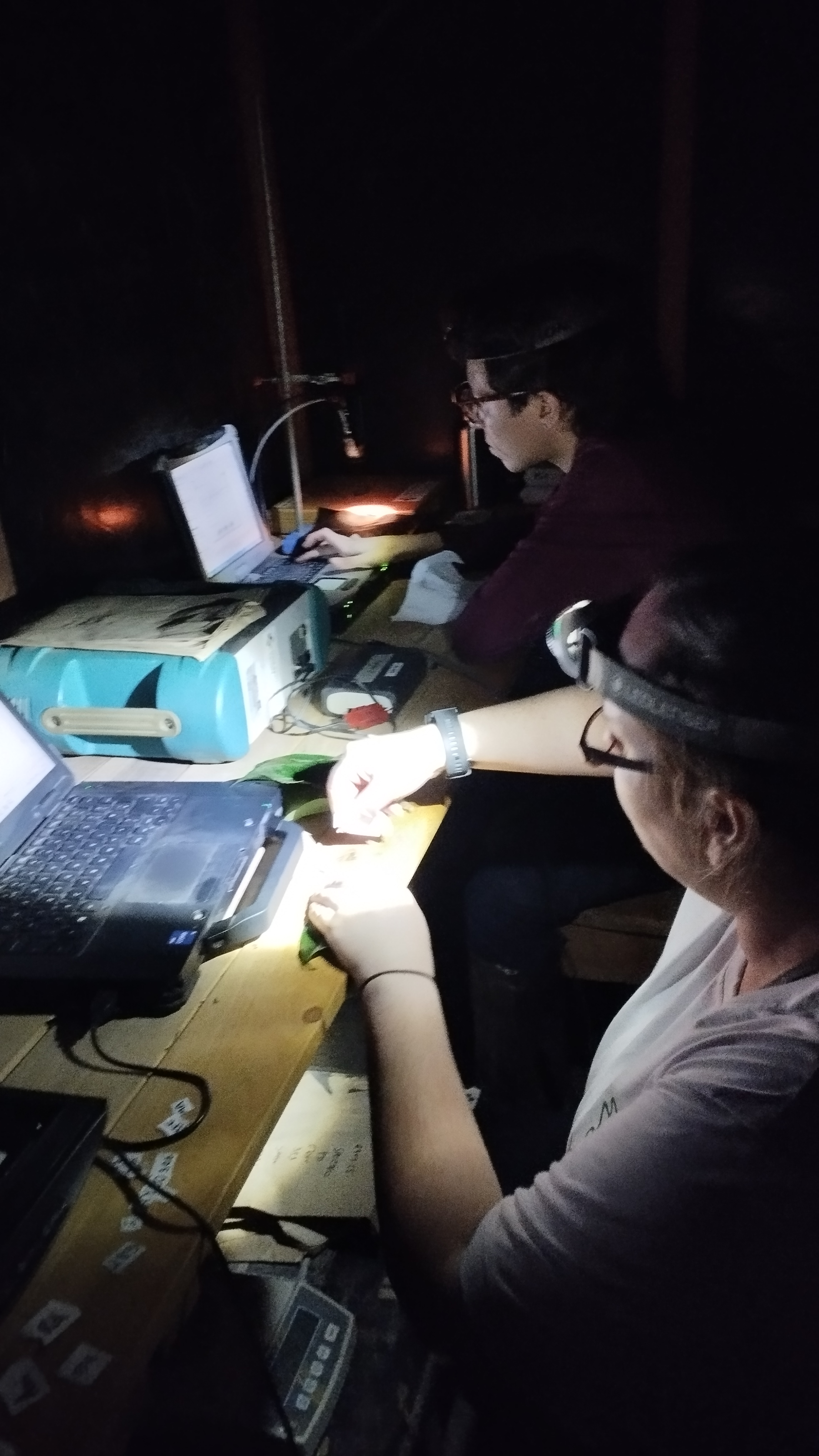 Lab